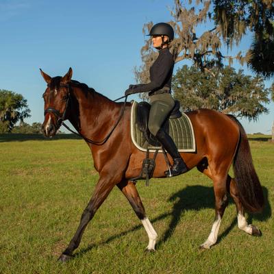 Show full view: Equinavia Valkyrie Anatomic Dressage Horse Bridle with Rubber Reins, Black, Horse slide 5 of 9