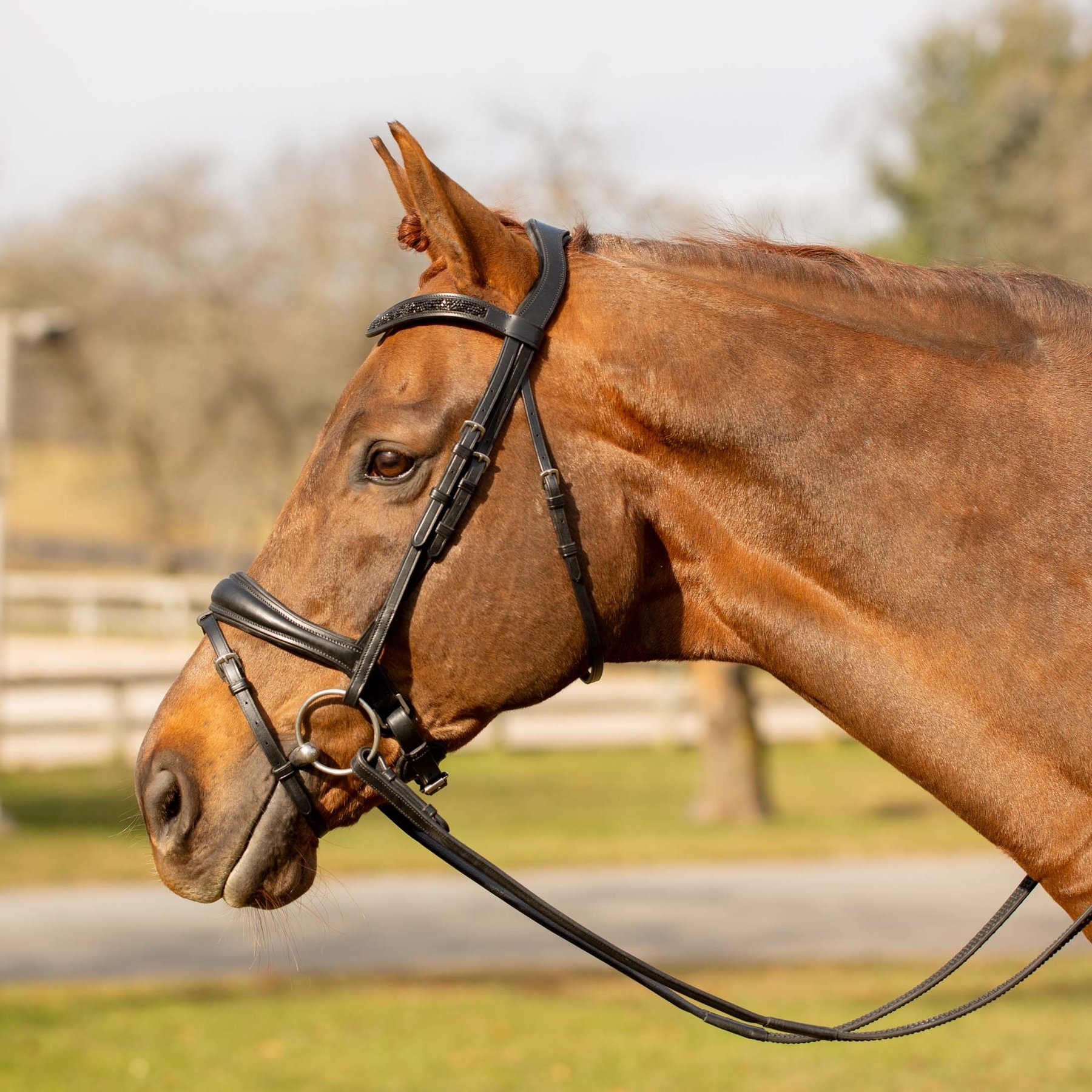 Equinavia Valkyrie Anatomic Dressage Horse Bridle with Rubber Reins, Black, Warmblood