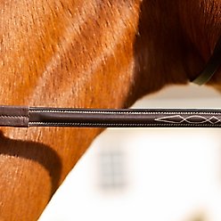 Equinavia Valkyrie Anatomic Jumper Horse Bridle with Rubber Reins, Chocolate Brown, Horse slide 2 of 4