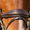 Show in main carousel: Equinavia Valkyrie Anatomic Jumper Horse Bridle with Rubber Reins, Chocolate Brown, Horse slide 2 of 4