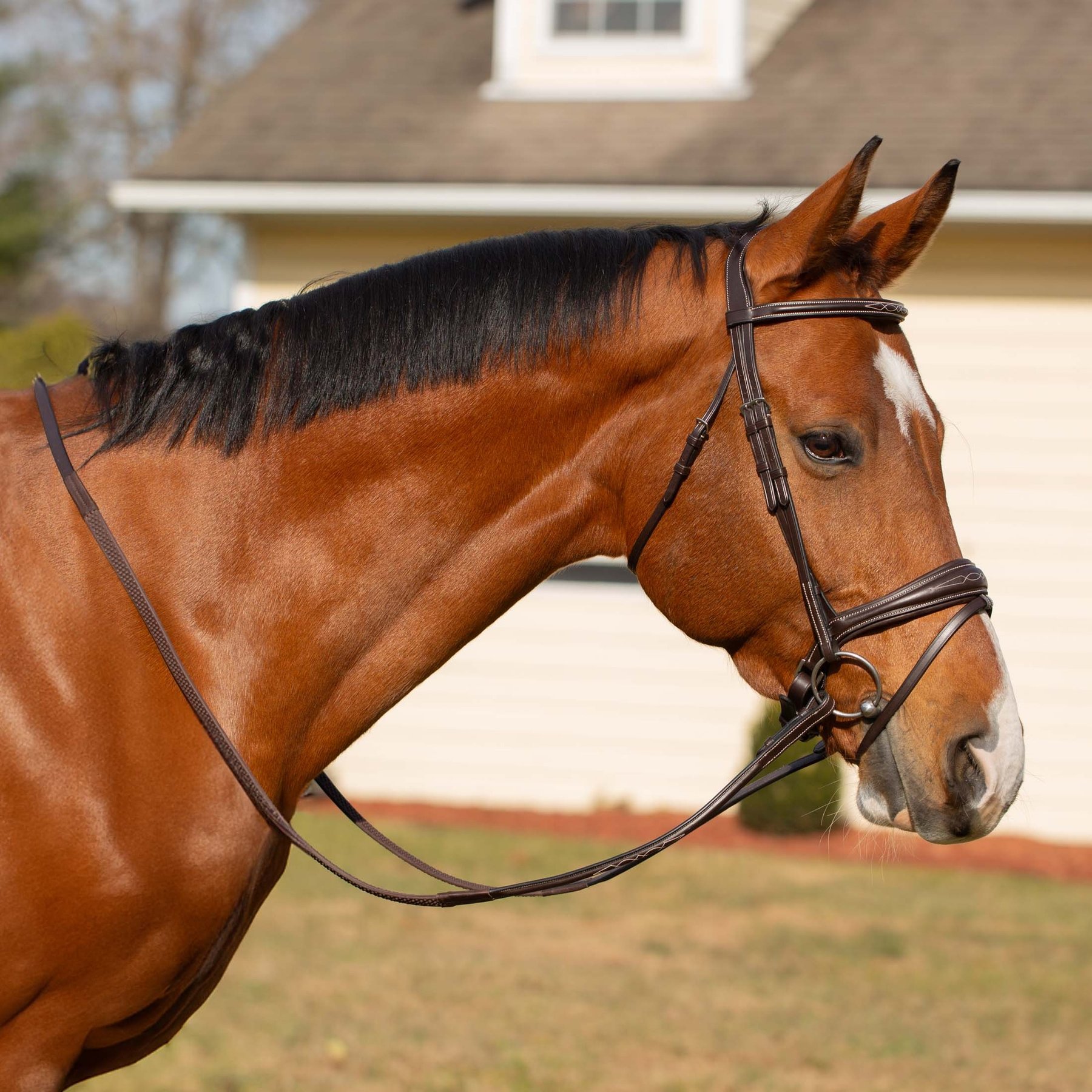 Equinavia Valkyrie Anatomic Jumper Horse Bridle with Rubber Reins, Chocolate Brown, Warmblood