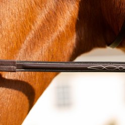 Equinavia Valkyrie Anatomic Jumper Horse Bridle with Rubber Reins, Chocolate Brown, Warmblood slide 2 of 4