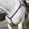 Show in main carousel: Equinavia Valkyrie Elastic Horse Breastplate, Chocolate Brown, Horse slide 2 of 5