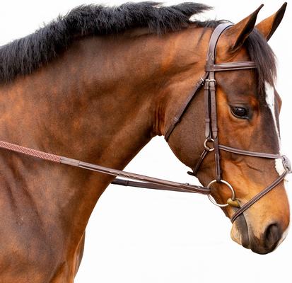 Show full view: Equinavia Valkyrie Fancy Stitched Figure 8 Horse Bridle & Reins, Chocolate Brown, Warmblood slide 5 of 9