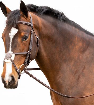 Show full view: Equinavia Valkyrie Fancy Stitched Figure 8 Horse Bridle & Reins, Chocolate Brown, Warmblood slide 4 of 9