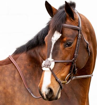 Show full view: Equinavia Valkyrie Fancy Stitched Figure 8 Horse Bridle & Reins, Chocolate Brown, Warmblood slide 2 of 9