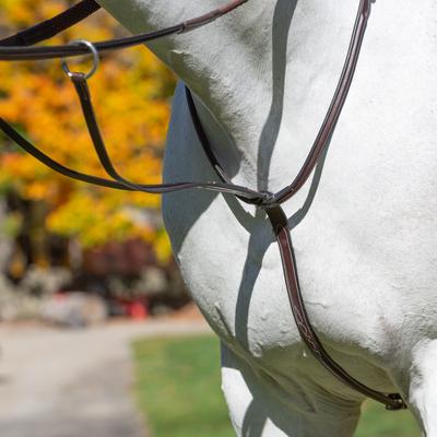 Show full view: Equinavia Valkyrie Fancy Stitched Running Martingale, Chocolate Brown, Horse slide 3 of 9