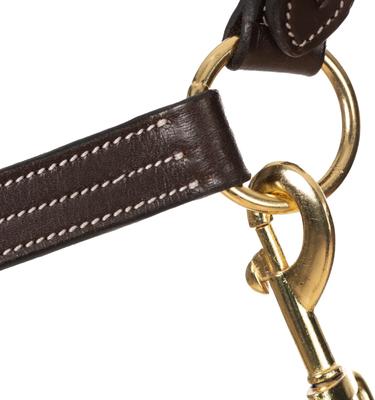 Show full view: Equinavia Valkyrie Triple Stitched Leather Horse Halter, Chocolate Brown, Cob slide 4 of 9