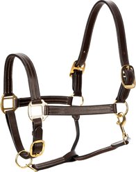 Equinavia Valkyrie Triple Stitched Leather Horse Halter, Chocolate Brown, Horse