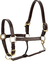 Equinavia Valkyrie Triple Stitched Leather Horse Halter, Chocolate Brown, Warmblood