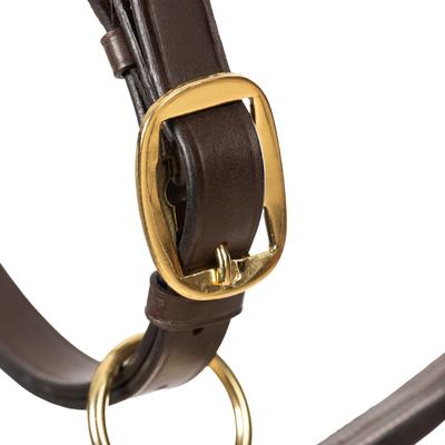 Show full view: Equinavia Valkyrie Triple Stitched Leather Horse Halter, Chocolate Brown, Warmblood slide 2 of 9