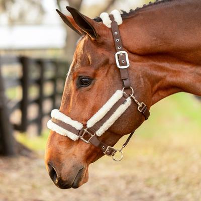 Show full view: Equinavia Valkyrie Ultra Fleece Horse Breakaway Halter, Brown/Ivory White, Warmblood slide 2 of 6