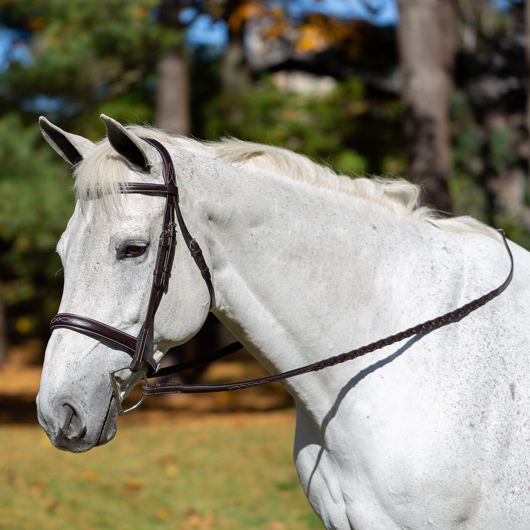 Equinavia Valkyrie Wide Noseband Hunter Horse Bridle with Reins, Chocolate Brown, Horse