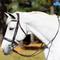 Show in main carousel: Equinavia Valkyrie Wide Noseband Hunter Horse Bridle with Reins, Chocolate Brown, Horse slide 2 of 9