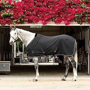 Equinavia Vind Horse Stable Sheet, Black, 80-in