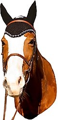 Equine Couture Horse Fly Bonnet with Crystals, Black, Full