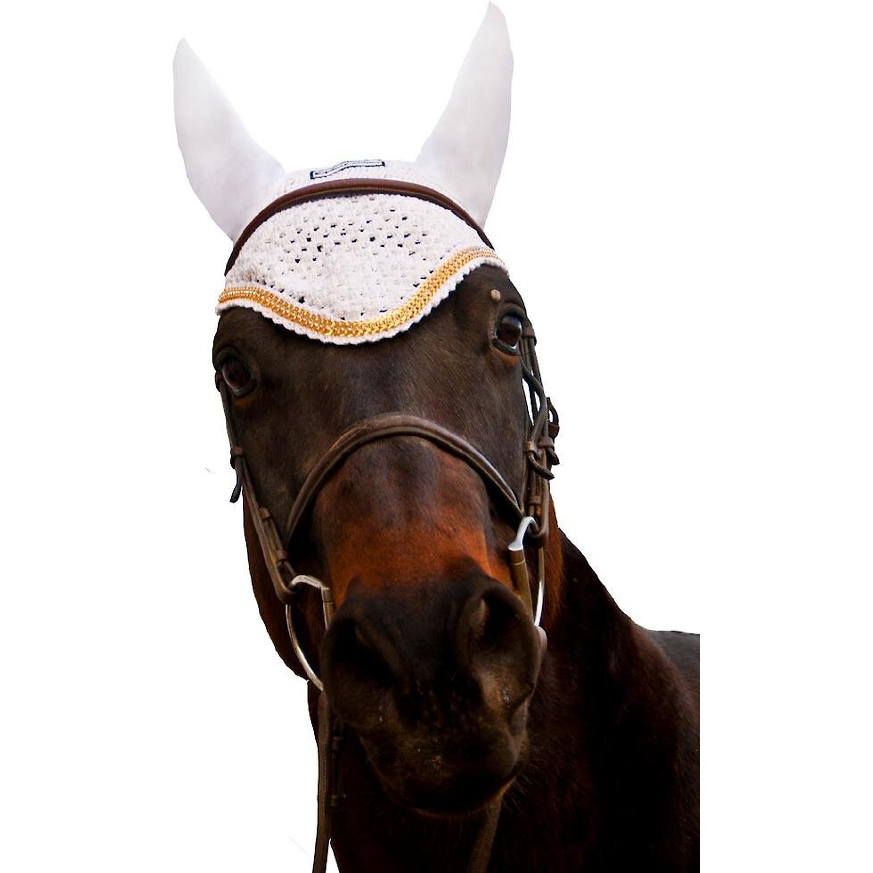 Equine Couture Horse Fly Bonnet with Gold Chain, White, Pony