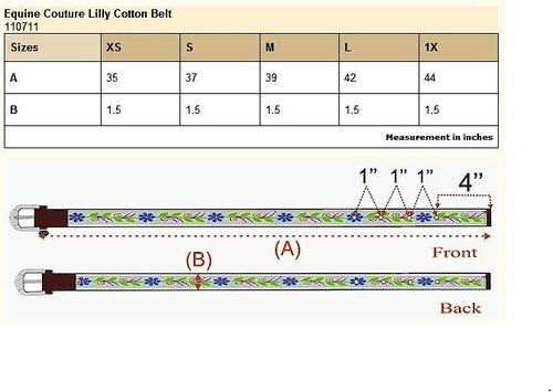 Show full view: Equine Couture Lilly Cotton Belt, Ecru, Large slide 2 of 2