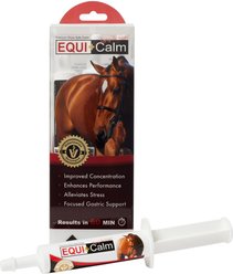 Equine Healthcare International Equi+Calm Paste Horse Supplement, 30-cc syringe, 6 count