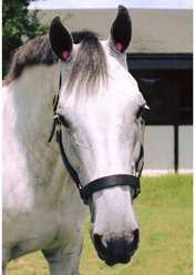 Equine Healthcare International Pomms - Horse Ear Plugs 14HH & Taller, Pink slide 2 of 2