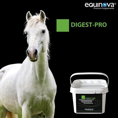 Show full view: equinova Digest Pro Powder Horse Supplement, 2.2-lb bucket slide 4 of 5
