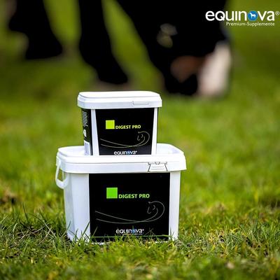 Show full view: equinova Digest Pro Powder Horse Supplement, 2.2-lb bucket slide 3 of 5