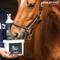 Show in main carousel: equinova Isotonic Powder Horse Supplement, 4.4-lb bucket slide 3 of 4