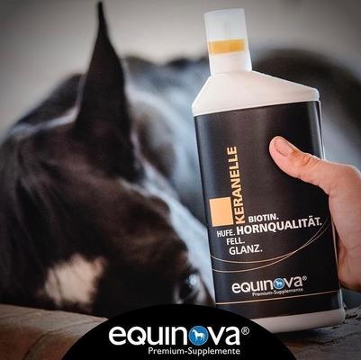 Show full view: equinova Keranelle Liquid Horse Supplement, 8.5-fl oz bottle slide 2 of 3