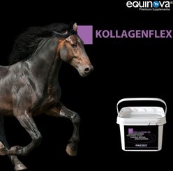 equinova Kollagenflex Horse Supplement, 4.4-lb bucket slide 2 of 3