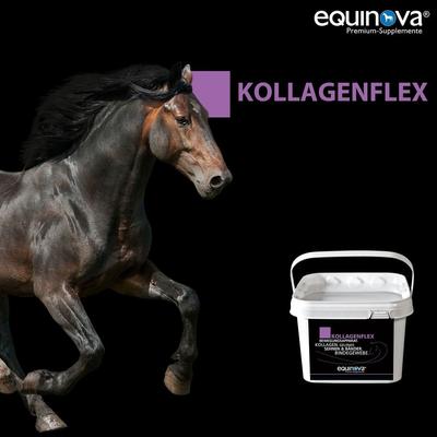 Show full view: equinova Kollagenflex Horse Supplement, 4.4-lb bucket slide 2 of 3