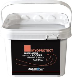 equinova Myoprotect Powder Horse Supplement, 3.3-lb bucket
