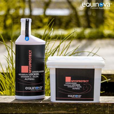 Show full view: equinova Myoprotect Powder Horse Supplement, 3.3-lb bucket slide 5 of 5