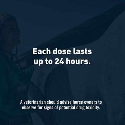 Show full view: Equioxx (Firocoxib) Tablets for Horses, 57 mg, 60 Tablets slide 3 of 6