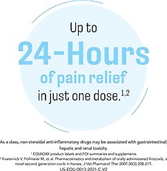 EQUIOXX Oral Paste for Horses (firocoxib), 0.045 mg/lb, 6.93 g, 20 Syringes slide 2 of 7