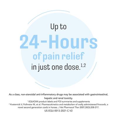 Show full view: EQUIOXX Oral Paste for Horses (firocoxib), 0.045 mg/lb, 6.93 g, 7 Syringes slide 3 of 7