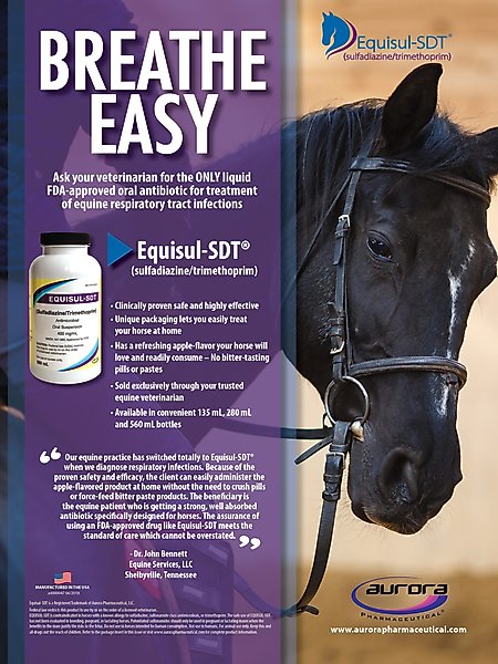 Show full view: Equisul-SDT Oral Suspension for Horses, 400mg/mL, 280mL slide 4 of 5
