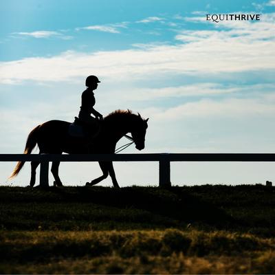 Show full view: Equithrive Classic Joint Pellets Horse Supplement, 10-lb tub slide 5 of 6