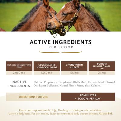 Show full view: Equithrive Classic Joint Pellets Horse Supplement, 10-lb tub slide 3 of 6