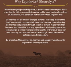Equithrive Electrolyte Pellets 3 Day Supply, 0.5lb slide 2 of 5