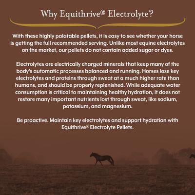 Show full view: Equithrive Electrolyte Pellets 3 Day Supply, 0.5lb slide 2 of 5