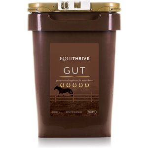 Equithrive GUT Digestive Health Pellets Horse Supplement, 10-lb tub