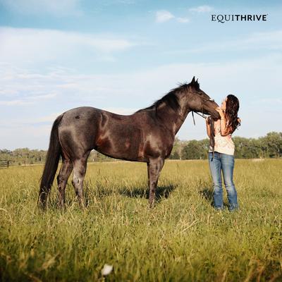 Show full view: Equithrive GUT Digestive Health Pellets Horse Supplement, 3.3-lb tub slide 4 of 5