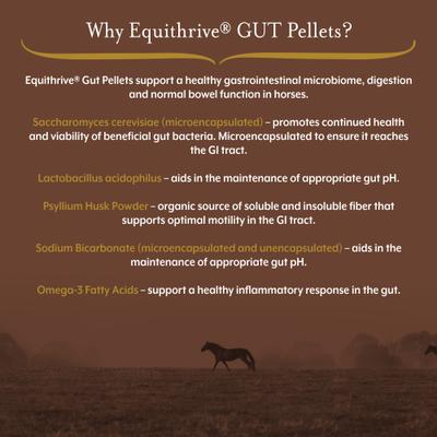 Show full view: Equithrive GUT Digestive Health Pellets Horse Supplement, 3.3-lb tub slide 2 of 5