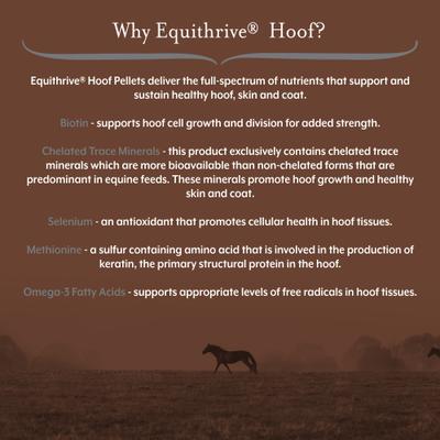 Show full view: Equithrive Hoof Pellets Horse Supplement, 10-lb tub slide 2 of 5