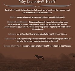 Equithrive Hoof Pellets Horse Supplement, 3.3-lb tub slide 2 of 5