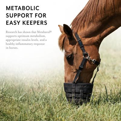 Show full view: Equithrive Metabarol Metabolism Support Pellets Horse Supplement, 3.3-lb tub slide 4 of 7