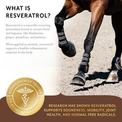 Equithrive Resveratrol + Joint Pellets Horse Supplement, 1.65-lb slide 2 of 7