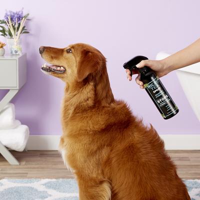 Show full view: EQyss Grooming Products Micro-Tek Dog & Cat Spray, 16-fl oz bottle slide 4 of 11