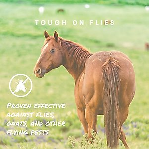 Espree Aloe Herbal Fly Repellant Horse Spray, 1-gallon