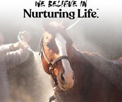 Espree Odor Neutralizing Charcoal Horse Shampoo, 16-fl oz bottle slide 2 of 7